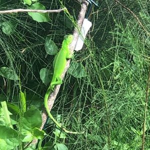 Meet your Posher, Jeanmarie